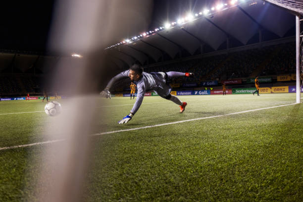 要的组织者 要的组织者