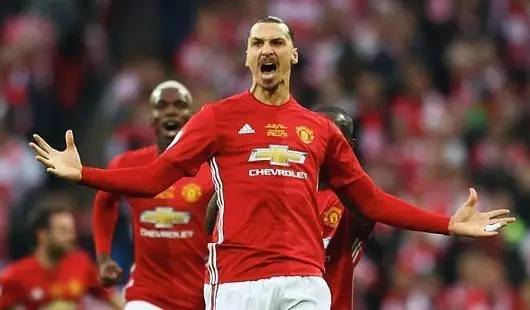 培养机制 培养机制